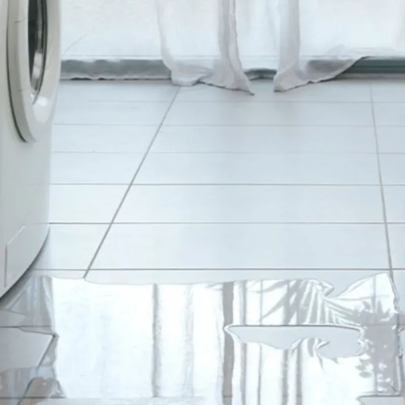 Appliance Leak Cleanup in Laurel, VA