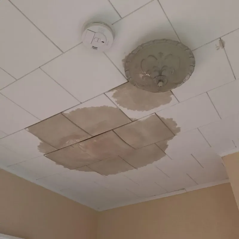 Ceiling Water Damage Repair in Laurel, VA