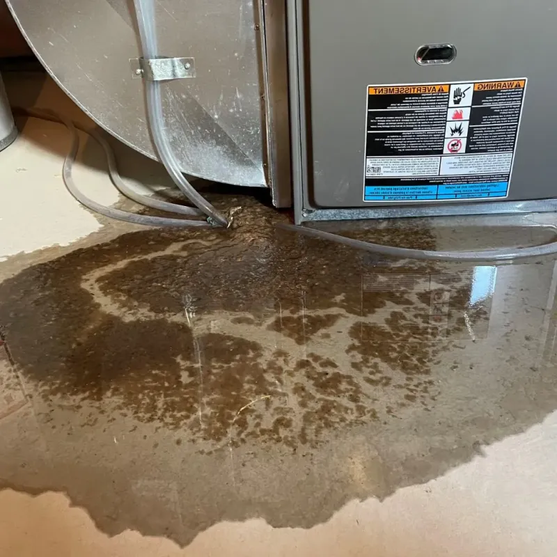 Pipe Burst and Leak Restoration in Laurel, VA